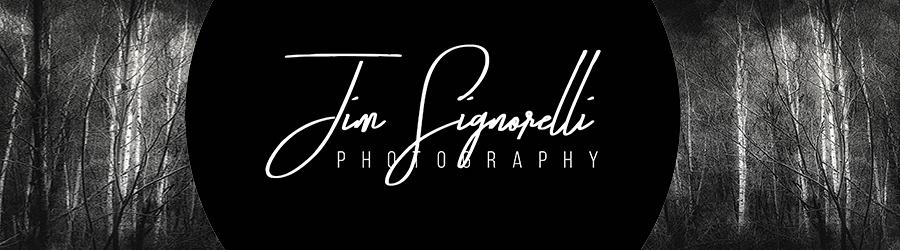 Jim Signorelli - Artist Website